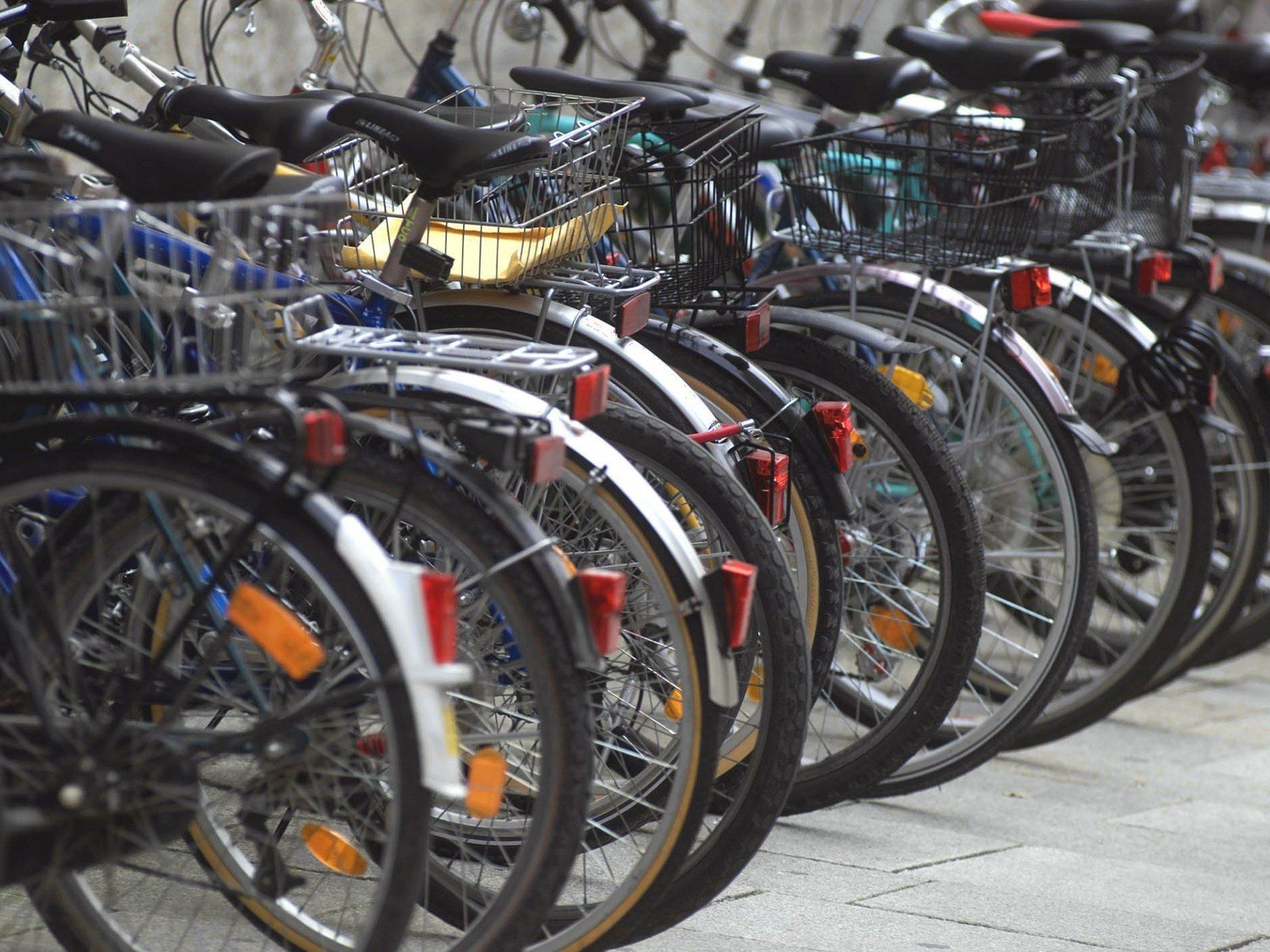 Im Bereich des Schloss Schönbrunns konnte ein Fahrraddieb festgenommen werden. Im Bereich des Schloss Schönbrunns konnte ein Fahrraddieb festgenommen werden.