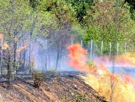 Brandaus in Wiener Neustadt am Wochenende. Brandaus in Wiener Neustadt am Wochenende.