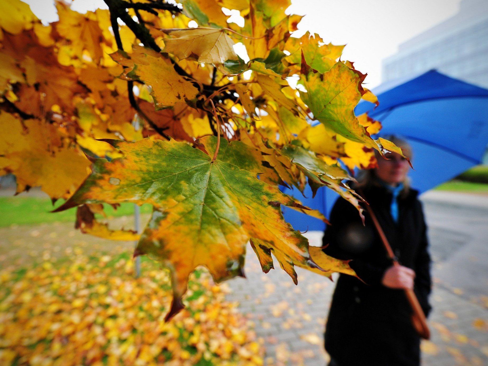 Wetter kommende Woche herbstlich kühl und regnerisch