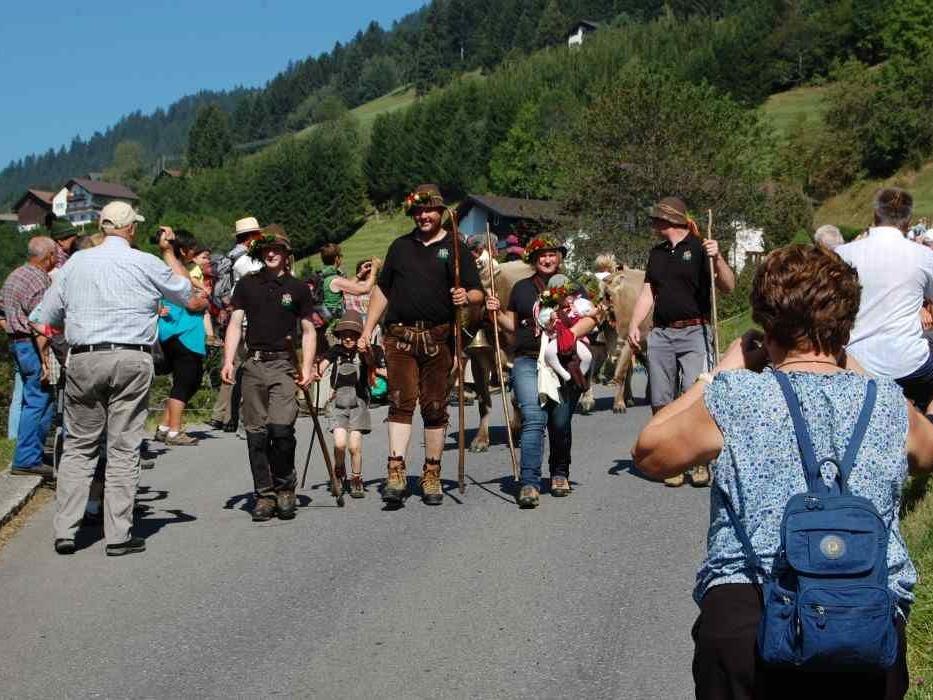 Zahlreiche Zuschauer fanden sich zum Alpabtrieb der Alpe Latons in Bartholomäberg ein.