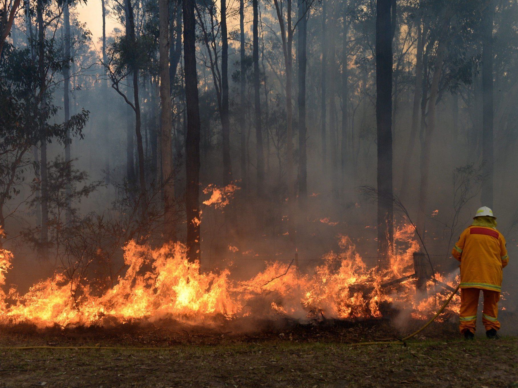 Dutzende Buschfeuer läuten in Australien den Sommer ein. Dutzende Buschfeuer läuten in Australien den Sommer ein.