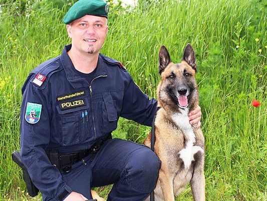 Dieser Polizeihund stellte den Tankbetrüger Dieser Polizeihund stellte den Tankbetrüger
