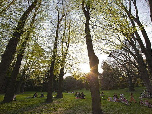 Der Türkenschanzpark feiert 125 Jahre