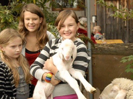 Julia, Franziska und Ellena freuen sich auf das Schaffest