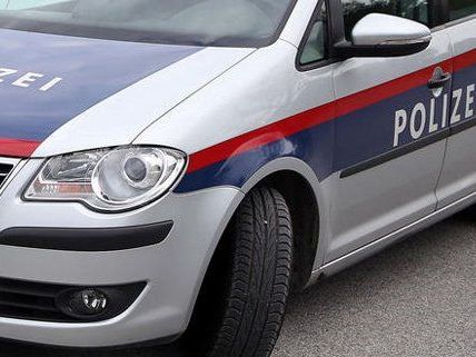Die Hausbewohnerin hielt die junge Diebin bis zum Eintreffen der Polizei fest. Die Hausbewohnerin hielt die junge Diebin bis zum Eintreffen der Polizei fest.