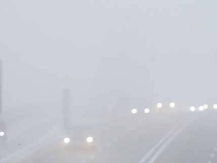 Bei Nebelfeldern ist besondere Vorsicht beim Autofahren geboten. Bei Nebelfeldern ist besondere Vorsicht beim Autofahren geboten.