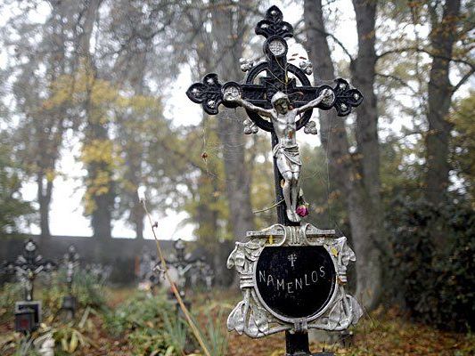 Grabkreuze am "Friedhof der Namenlosen" in Wien