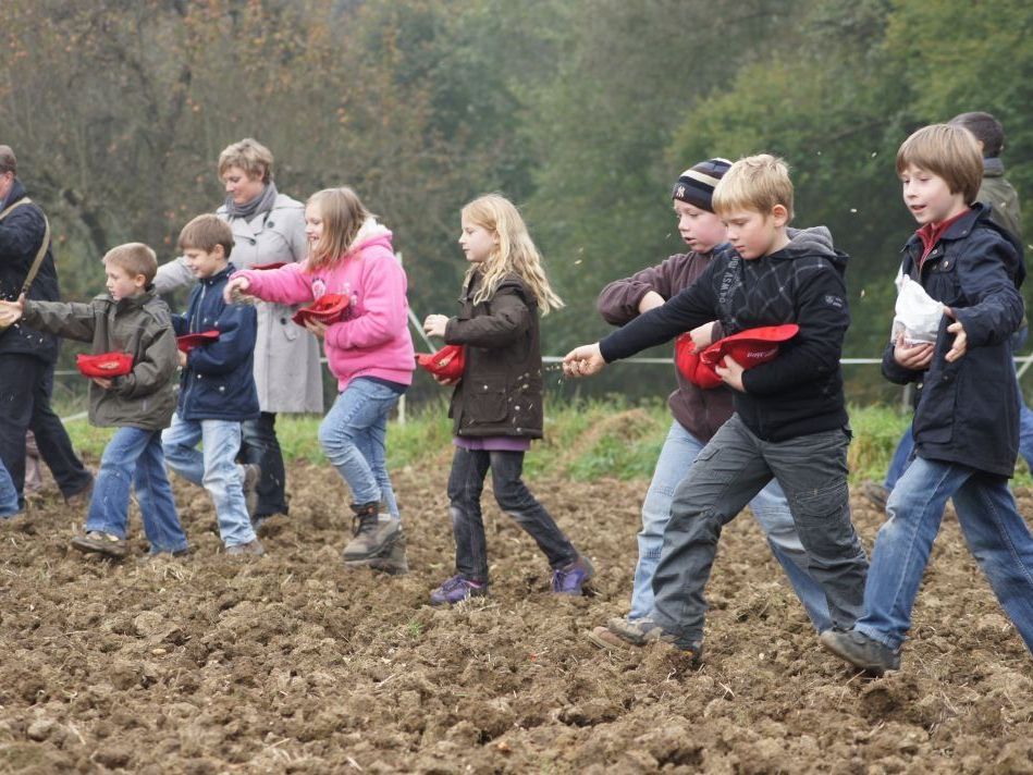 Am 11. Oktober wird am Biobauernhof der Familie Häusle in Koblach im Rahmen der Aktion Zukunft säen! gemeinsam ein Acker mit Biodinkel von Hand angesät. Am 11. Oktober wird am Biobauernhof der Familie Häusle in Koblach im Rahmen der Aktion Zukunft säen! gemeinsam ein Acker mit Biodinkel von Hand angesät.