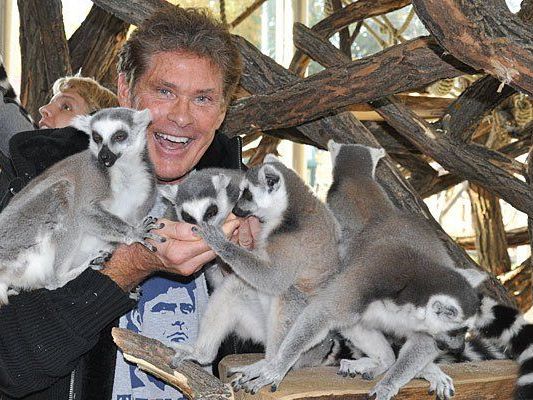 Offensichtlich amüsierte sich David Hasselhoff in Schönbrunn prächtig