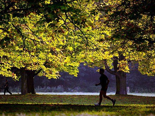 Laufen macht im Herbst besonders viel Freude