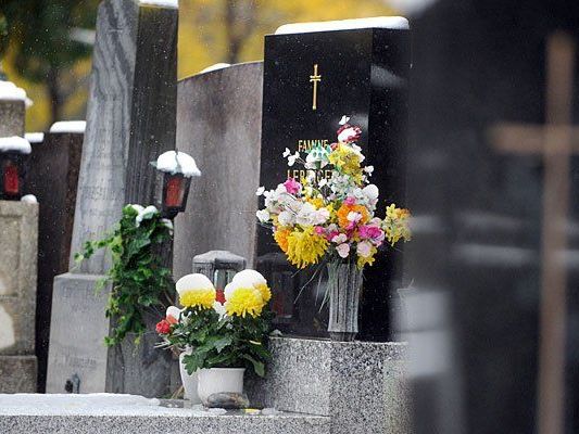 Am Wiener Zentralfriedhof Am Wiener Zentralfriedhof