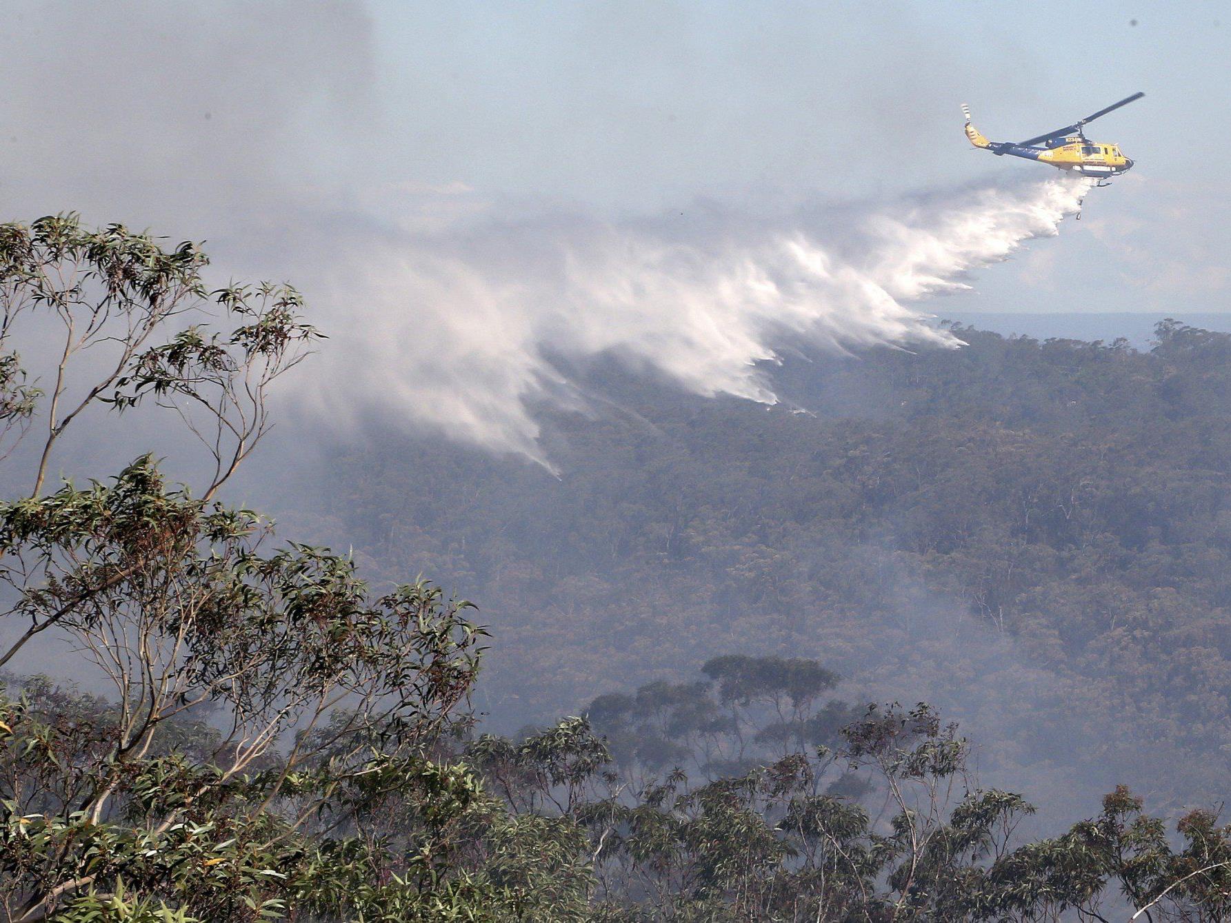 Bei dem Versuch das Buschfeuer in Australien zu löschen, stürzte ein Flugzeug ab.