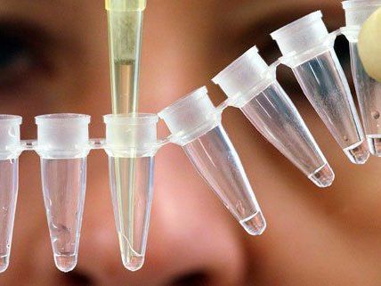 Der Wiener Polizei wird vorgeworfen, DNA-Proben nicht richtig zu lagern. Der Wiener Polizei wird vorgeworfen, DNA-Proben nicht richtig zu lagern.