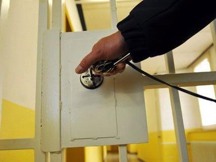Weitere Fälle von Kindesmissbrauch in Wien - Verdächtige in U-Haft