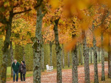 Sonniges Herbstwetter wird am kommenden Wochenende erwartet. Sonniges Herbstwetter wird am kommenden Wochenende erwartet.