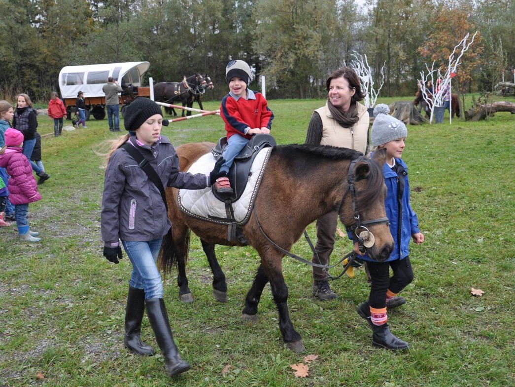 Pferdefest am Nationalfeiertag, 26.Oktober auf der Reitanlage des Reitclub Wildfang in Klaus ab 10 Uhr. Pferdefest am Nationalfeiertag, 26.Oktober auf der Reitanlage des Reitclub Wildfang in Klaus ab 10 Uhr.
