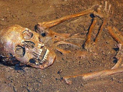 4.000 Skelette wurden in St. Pölten untersucht.