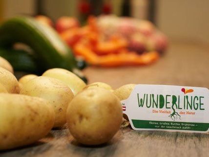 Ab 2. Oktober sind die "Wunderlinge" im Handel erhältlich. Ab 2. Oktober sind die "Wunderlinge" im Handel erhältlich.