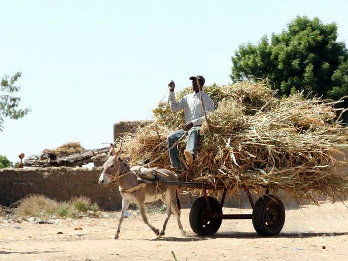 Durch einen Militärputsch im März 2012 hat sich die Lage in Mali zunehmend verschärft. Durch einen Militärputsch im März 2012 hat sich die Lage in Mali zunehmend verschärft.