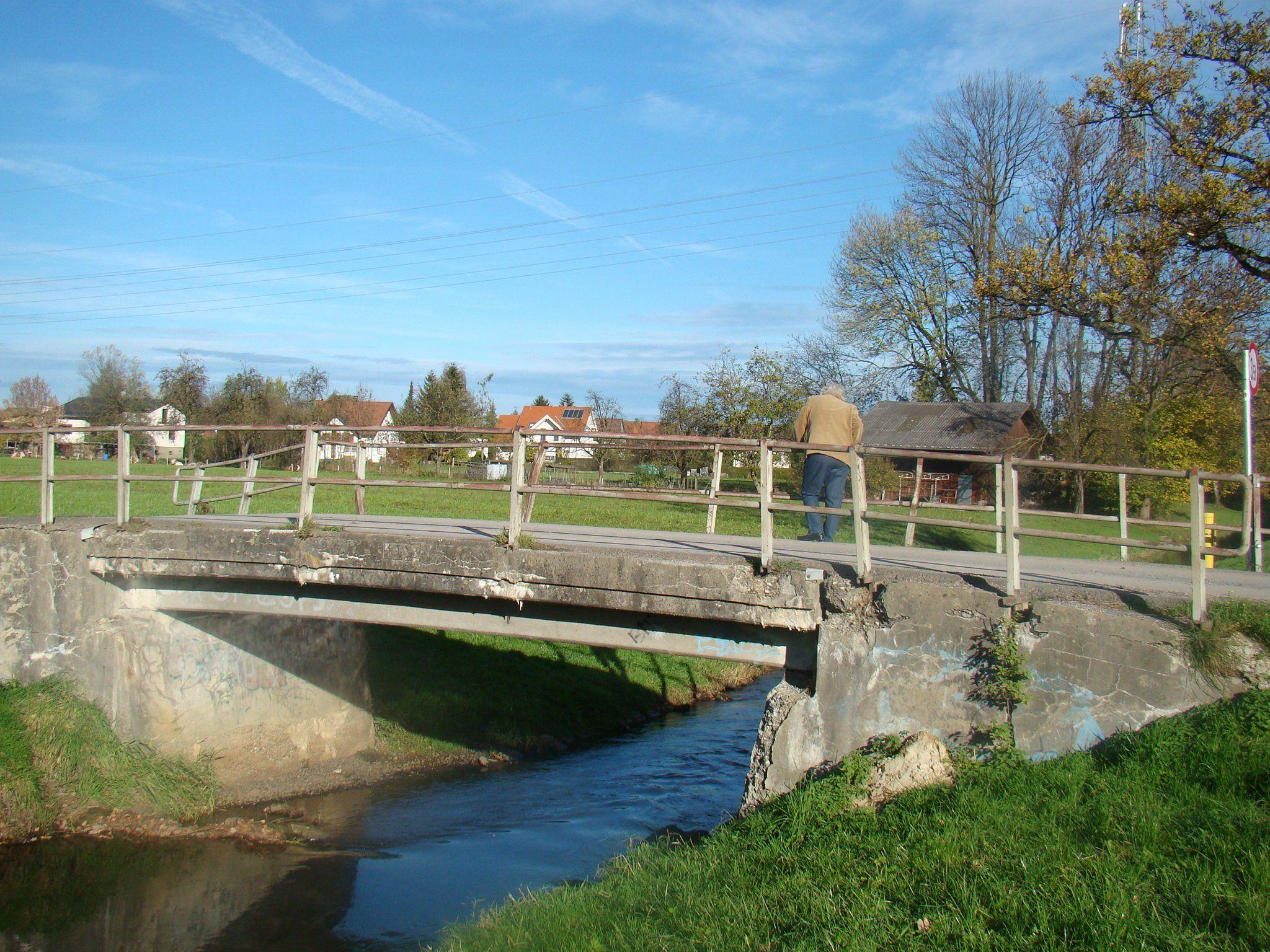 Brücke Streueried