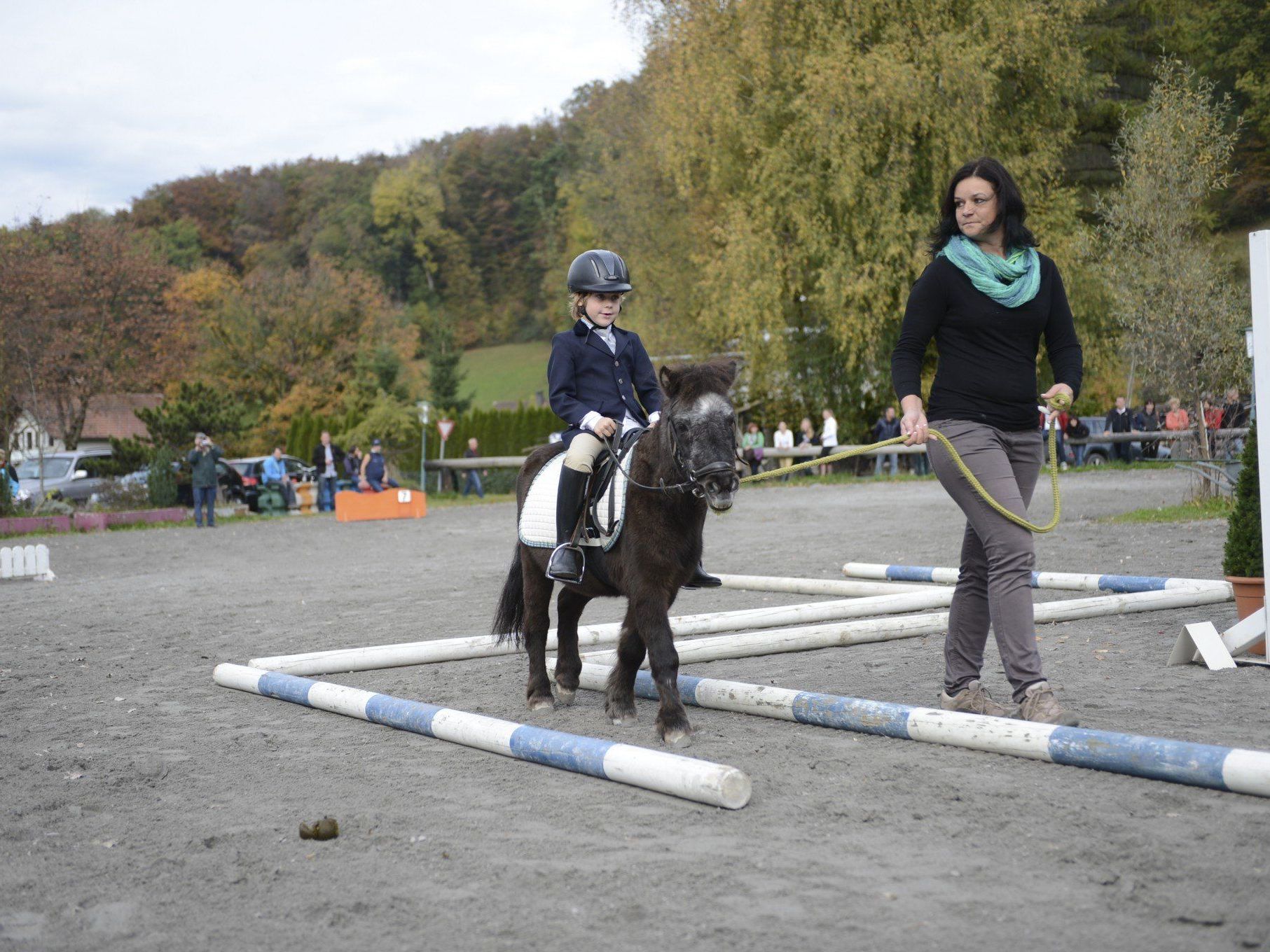 Gute Leistungen bei den Vereinsmeisterschaften des RC Wildfang Klaus. Gute Leistungen bei den Vereinsmeisterschaften des RC Wildfang Klaus.