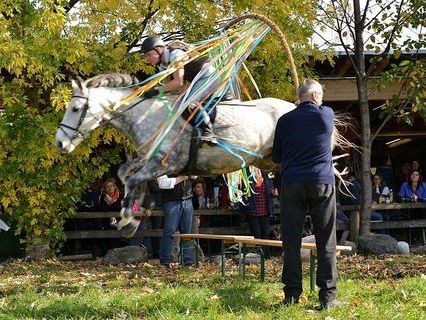Pferdefest für Groß und Klein in Klaus. Pferdefest für Groß und Klein in Klaus.