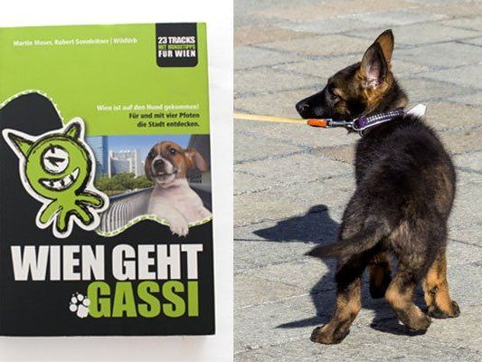 Wien auf vier Pfoten erkunden - dazu lädt "Wien geht Gassi" ein Wien auf vier Pfoten erkunden - dazu lädt "Wien geht Gassi" ein