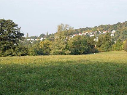 Der Bebauungsvorschlag für die Steinhofgründe steht. Der Bebauungsvorschlag für die Steinhofgründe steht.