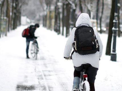 23 Prozent der Radler in Wien fahren auch im Winter.