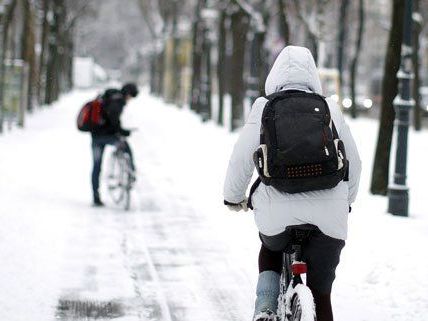 23 Prozent der Radler in Wien fahren auch im Winter. 23 Prozent der Radler in Wien fahren auch im Winter.