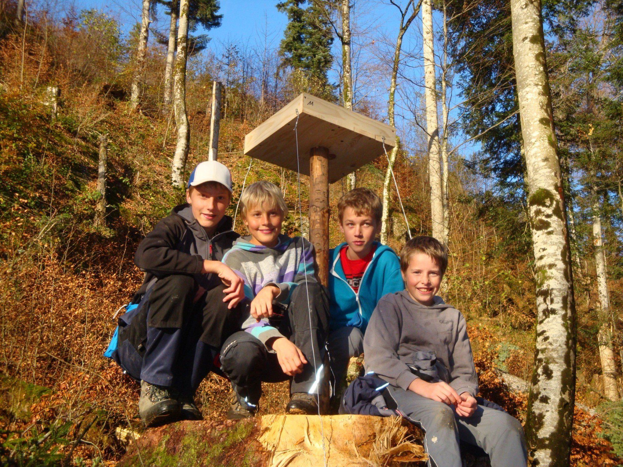 Johannes, Elias, Fabian und Johannes engagieren sich für den Schutzwald. Johannes, Elias, Fabian und Johannes engagieren sich für den Schutzwald.