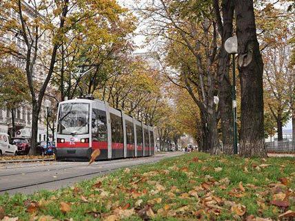 Neue Straßenbahnen für Wien soll es geben.