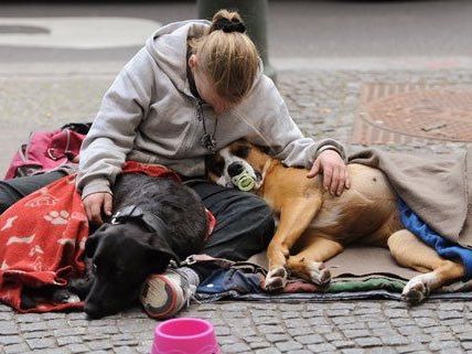 Bei Bedarf werden weitere Schlafplätze in Wien zur Verfügung gestellt. Bei Bedarf werden weitere Schlafplätze in Wien zur Verfügung gestellt.