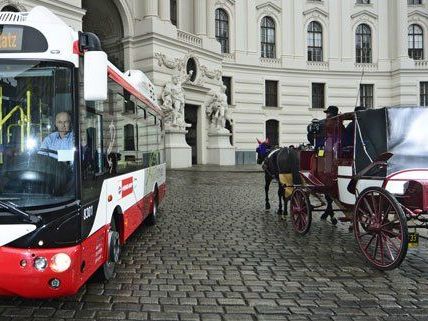 Keine Zufahrt für Reisebusse: Nur Busse der Wiener Linien sollen durch die Stadt fahren Keine Zufahrt für Reisebusse: Nur Busse der Wiener Linien sollen durch die Stadt fahren