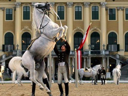 Schloss Schönbrunn: 2013 bisher erfolgreichstes Jahr Schloss Schönbrunn: 2013 bisher erfolgreichstes Jahr
