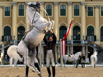 Schloss Schönbrunn: 2013 bisher erfolgreichstes Jahr