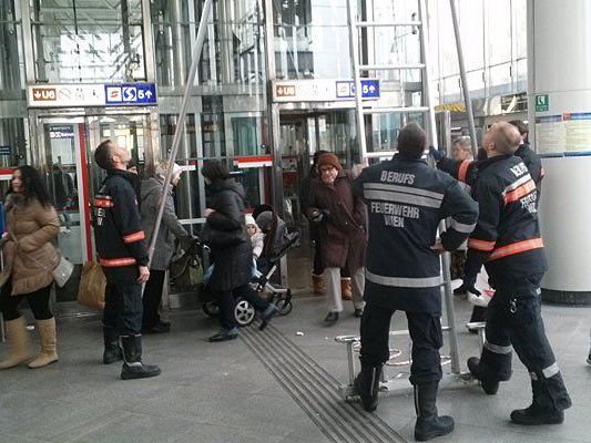 Eine Taube hatte sich in die U6-Station Wien-Floridsdorf verflogen Eine Taube hatte sich in die U6-Station Wien-Floridsdorf verflogen