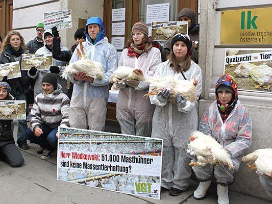 Bei der Protestaktion des Vereins gegen Tierfabriken (VGT) zum Thema "Katastrophale Bedingungen in Masthühnerfabriken" Bei der Protestaktion des Vereins gegen Tierfabriken (VGT) zum Thema "Katastrophale Bedingungen in Masthühnerfabriken"