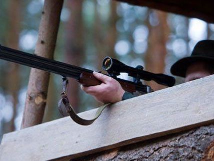 Ein Jäger verunglückte im Waldviertel tödlich Ein Jäger verunglückte im Waldviertel tödlich
