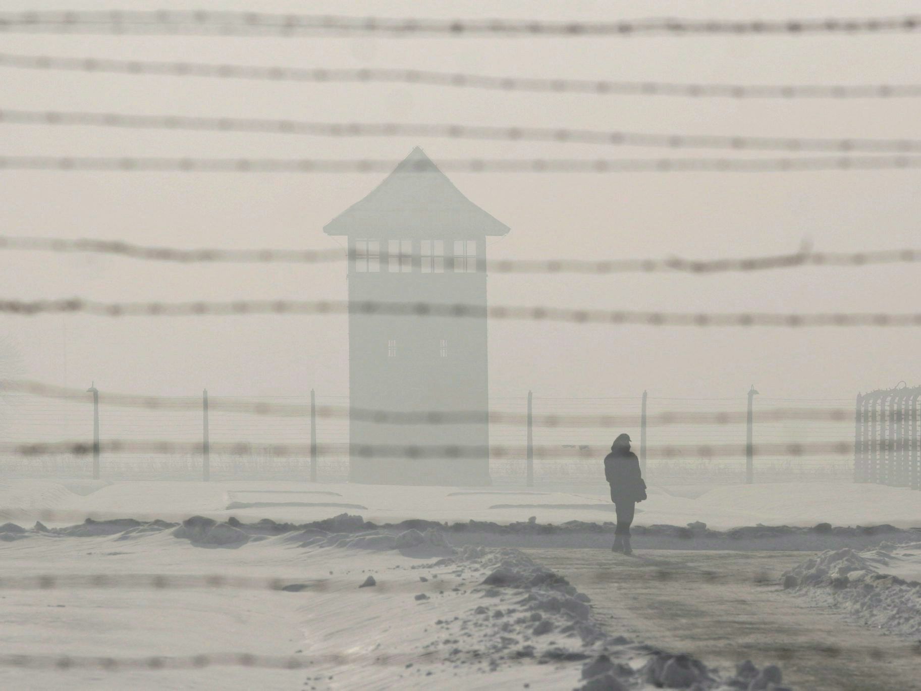 Der 27. Jänner, der Jahrestag der Befreiung des Vernichtungslagers Auschwitz, wird in vielen Ländern zum Gedenken an die Ermordung der europäischen Juden begangen. Der 27. Jänner, der Jahrestag der Befreiung des Vernichtungslagers Auschwitz, wird in vielen Ländern zum Gedenken an die Ermordung der europäischen Juden begangen.