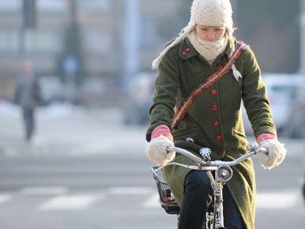 2013 waren mehr Radfahrer in Wien unterwegs.