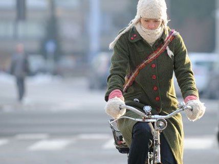 2013 waren mehr Radfahrer in Wien unterwegs. 2013 waren mehr Radfahrer in Wien unterwegs.
