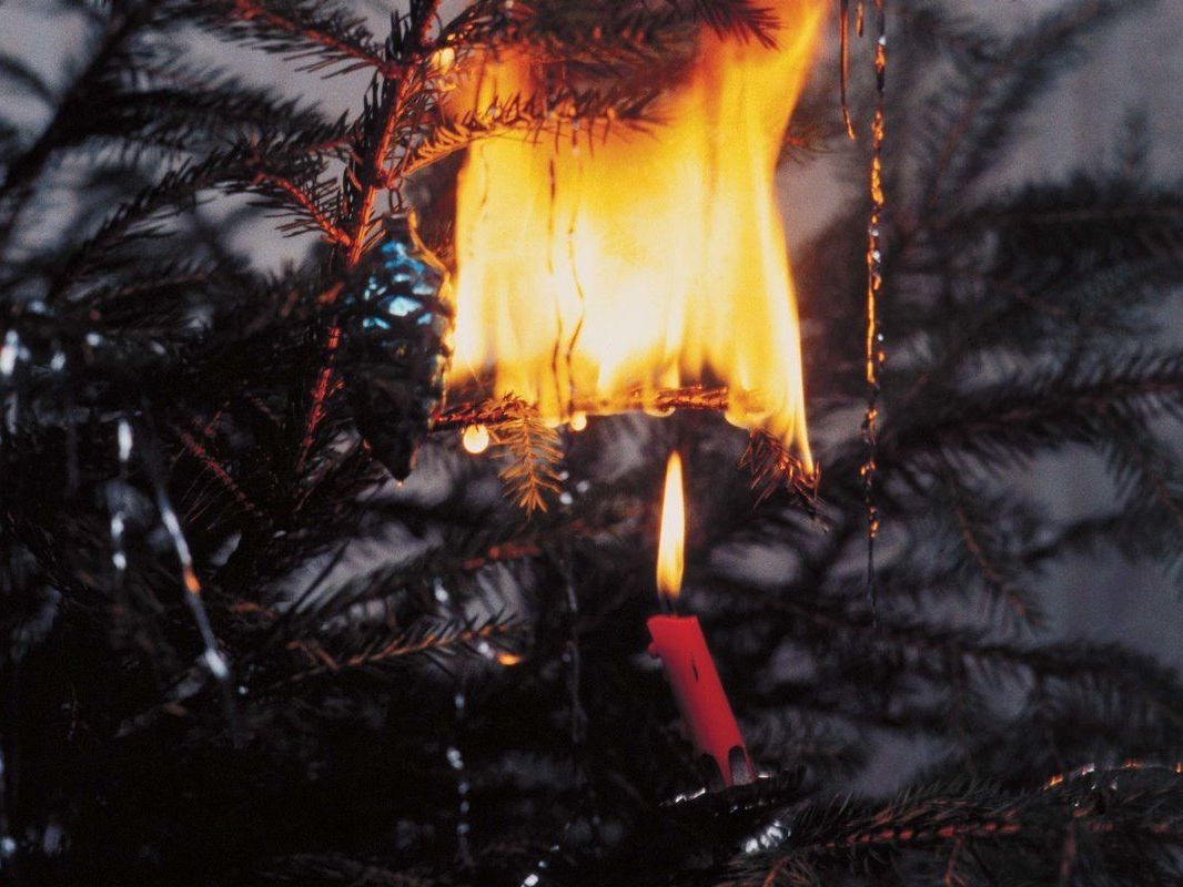Der brennende Christbaum konnte von der eintreffenden Polizei gelöscht werden. Der brennende Christbaum konnte von der eintreffenden Polizei gelöscht werden.