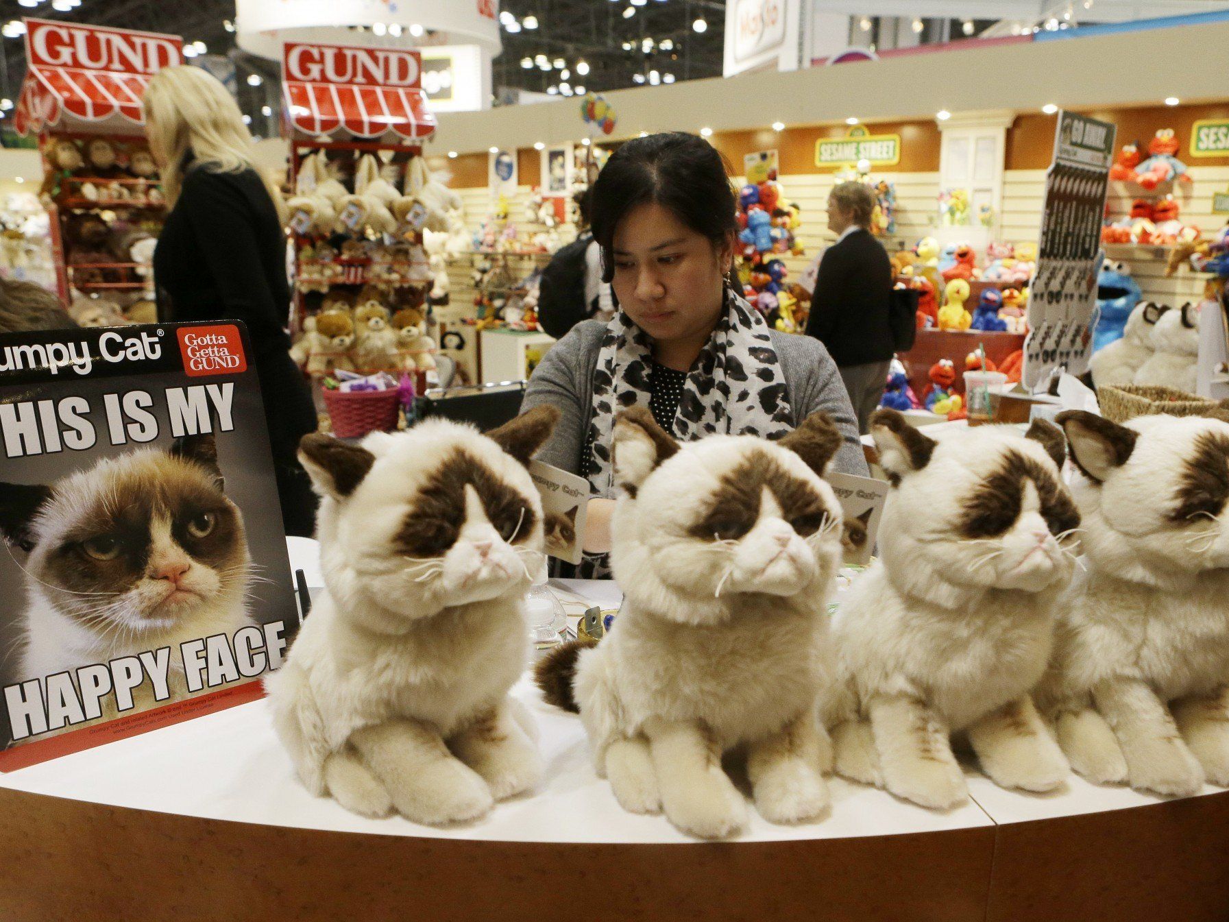 Grumpy Cat wurde zur Kultfigur im Internet. Grumpy Cat wurde zur Kultfigur im Internet.