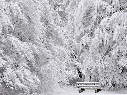 Der Winter hat Teile Sloweniens fest im Griff.