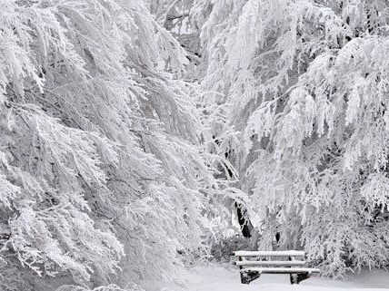 Der Winter hat Teile Sloweniens fest im Griff. Der Winter hat Teile Sloweniens fest im Griff.