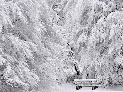 Der Winter hat Teile Sloweniens fest im Griff.