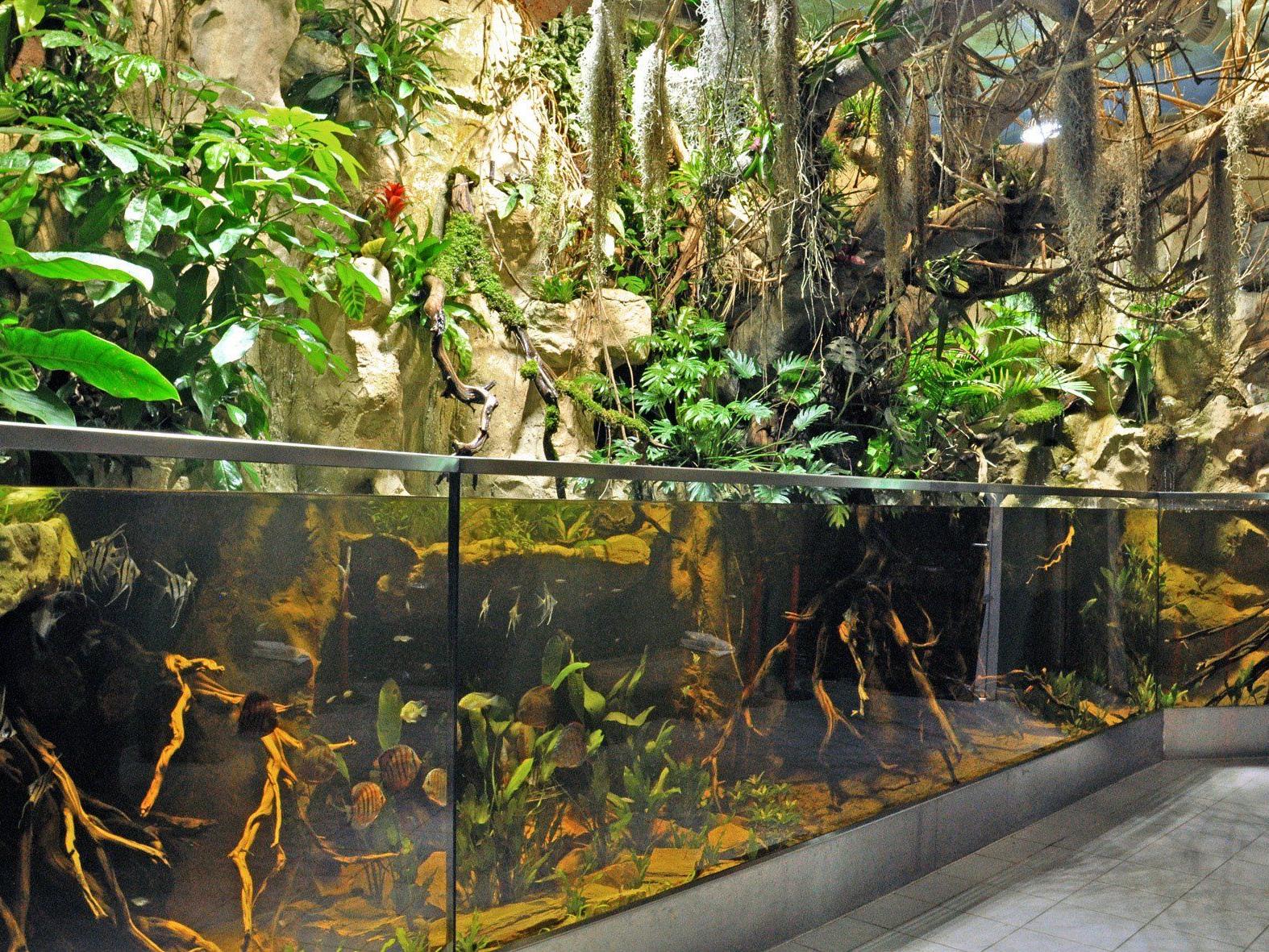 Passage mit 15.000-Liter-Aquarium und bunter Pflanzenwelt samt scheuen Echsen eröffnet.