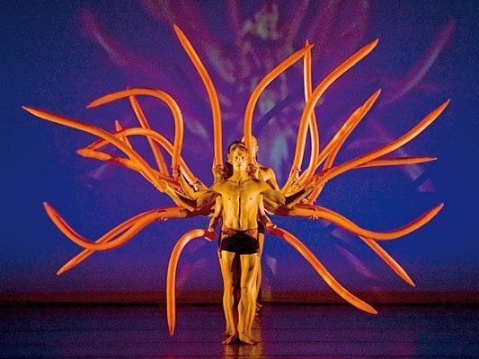 Beeindruckend: Die Show, die nun auch in der Stadthalle Station macht Beeindruckend: Die Show, die nun auch in der Stadthalle Station macht