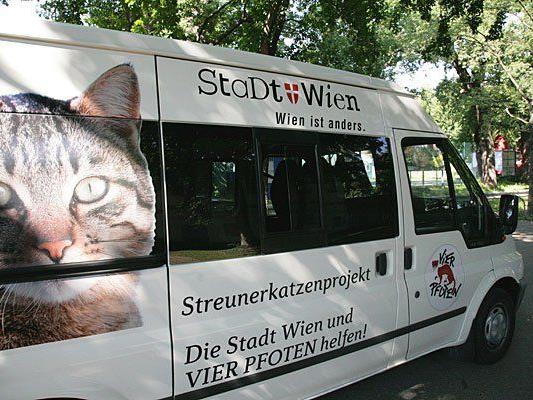 Das Streunerkatzenmobil ist wieder on tour